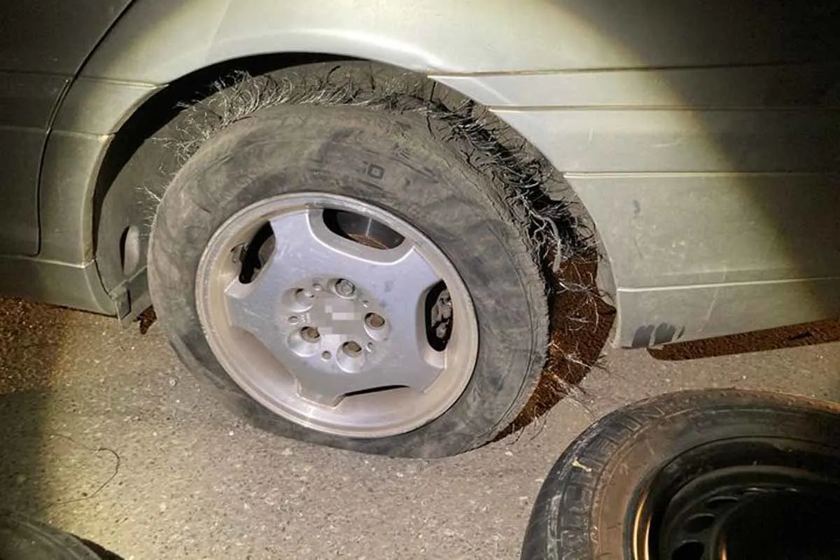 Kärnten - Probeführerscheinbesitzer wollte nur etwas Spaß haben
