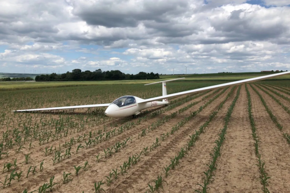 Notlandung eines Segelfliegers im Feld