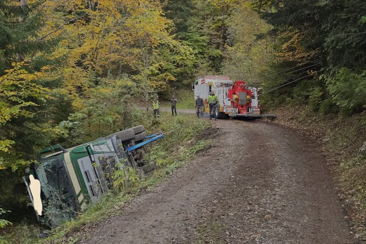 Ein Lastwagen liegt auf der Seite in einem Straßengraben eines schmalen Waldwegs. Mehrere Personen stehen daneben, während ein rotes Bergungsfahrzeug auf der Straße sichtbar ist.