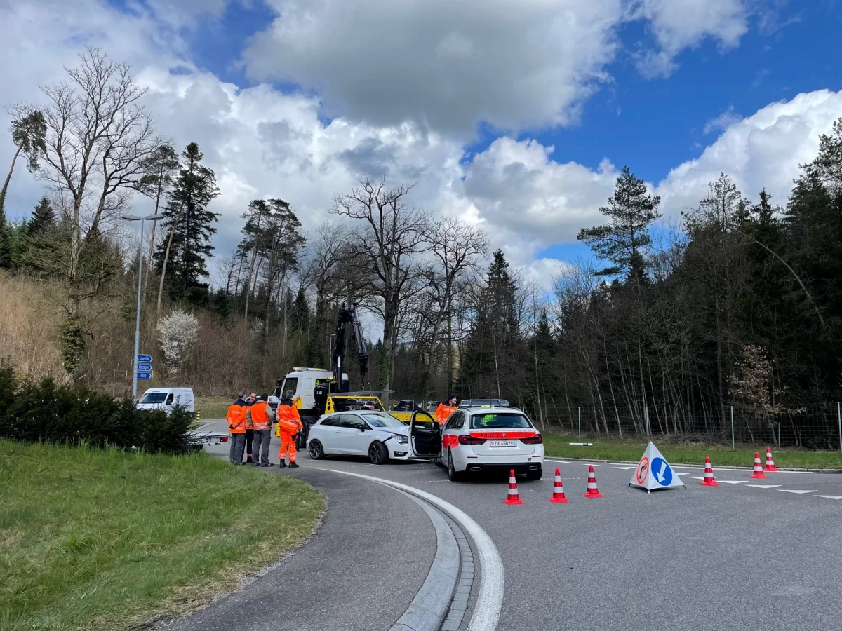 Matzingen TG: Automobilist entzieht sich Kontrolle und kollidiert mit Polizeifahrzeug