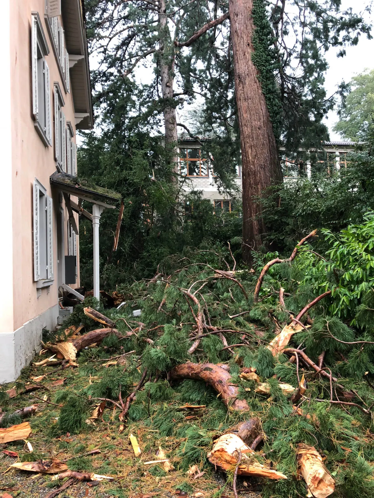 Stadt Luzern - Einsätze wegen Blitzeinschlägen