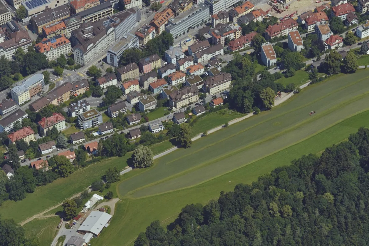 St.Gallen - Hund verletzt Reh mit Bissen am Hals tödlich