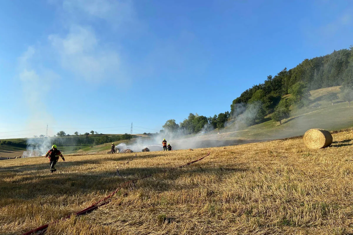 Laufenburg AG – Grossflächiger Brand eines Feldes