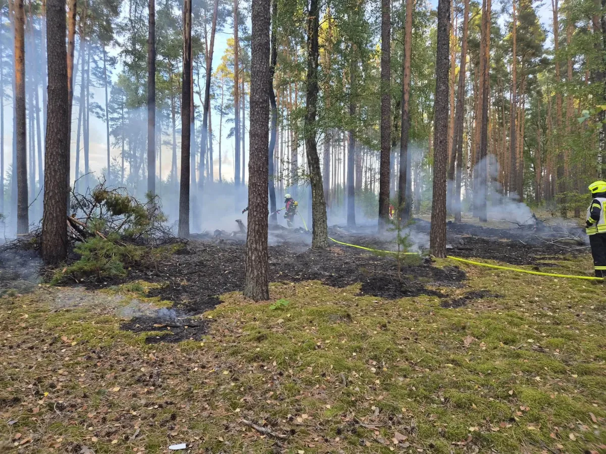 Feuerwehrleute arbeiten in einem verrauchten Waldstück, um verbliebene Glutnester zu löschen.