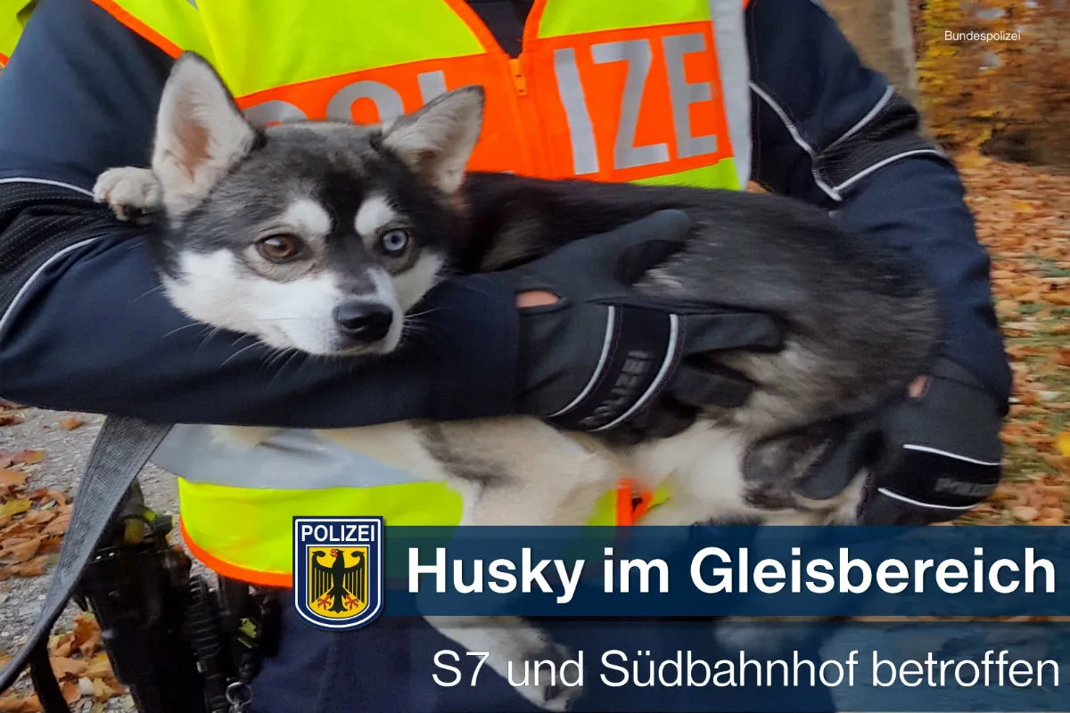 Husky legt Bahnstrecken lahm