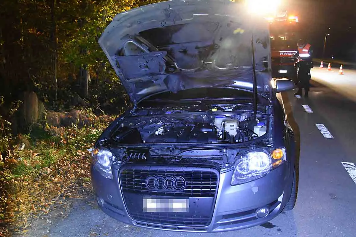 Fahrzeugbrand in Sennwald SG - Technischer Defekt führt zu Brand!