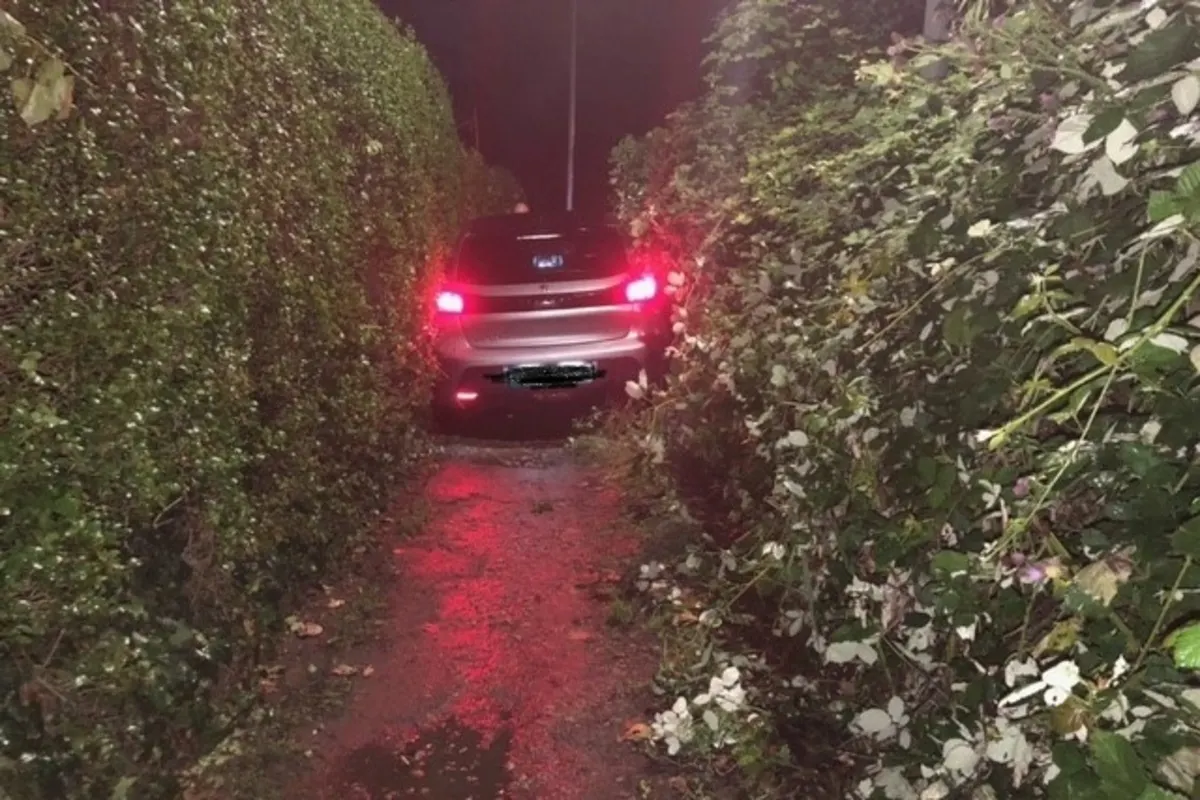 Ludwigshafen-Oggersheim RP - Zwischen zwei Büschen festgefahren