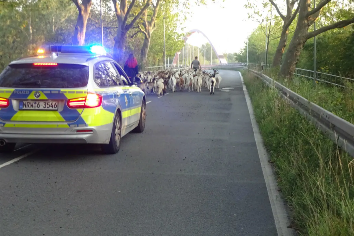 Herne - Polizei arbeitet in "Ziegenpeter-Manier