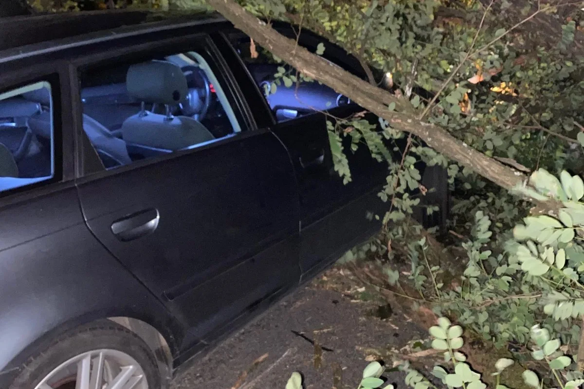 Unwetter in Basel-Landschaft - Heftige Windböen führten zu etlichen Feuerwehr- und Polizeieinsätzen