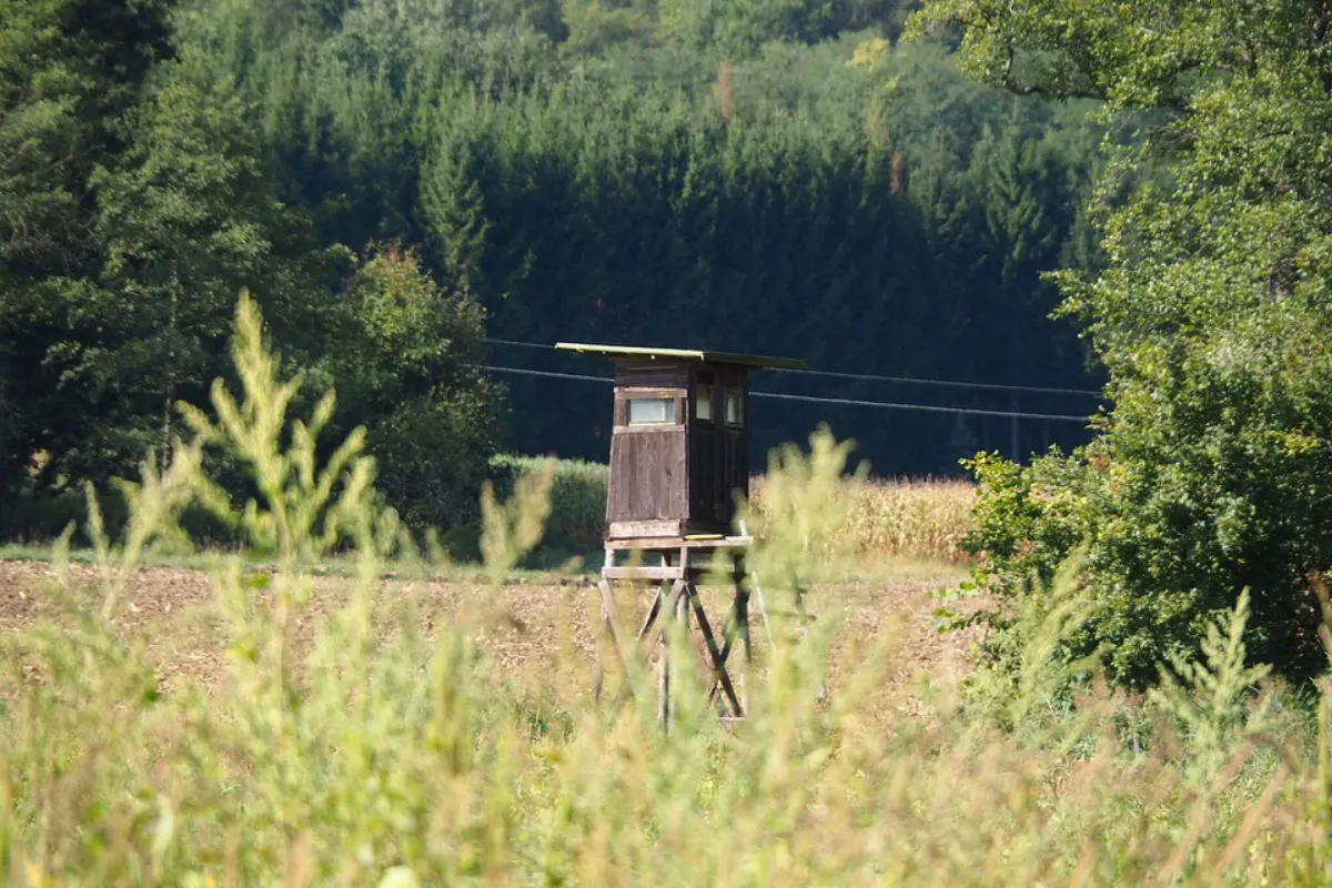 Kanton Glarus – Die Hochwild- und Rehjagd ist abgeschlossen