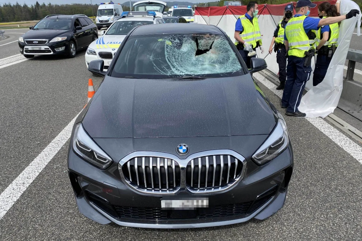 Drama Mägenwil AG - Autolenkerin nach Kollision mit Reh auf der Autobahn A1 verstorben