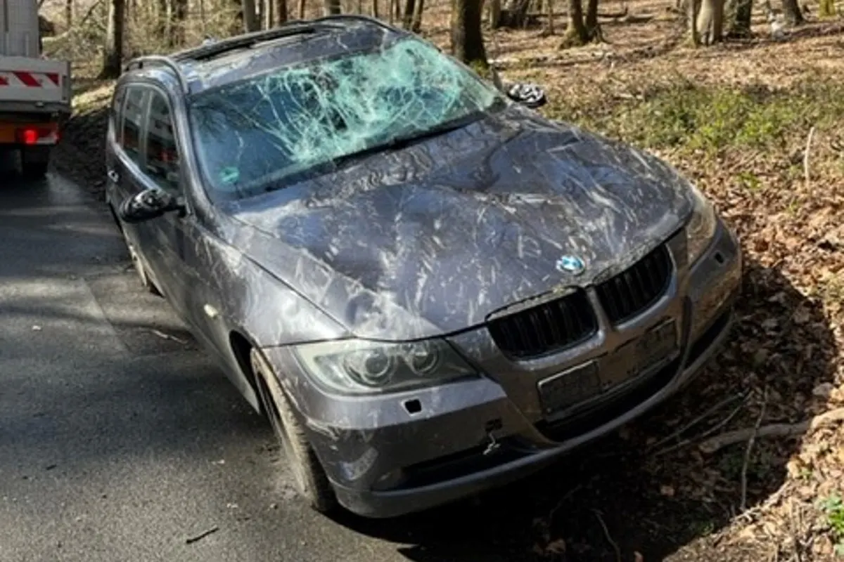 Waldbröl - BMW-Lenkerin hatte Schutzengel dabei - Baum stürzt auf vorbeifahrendes Auto