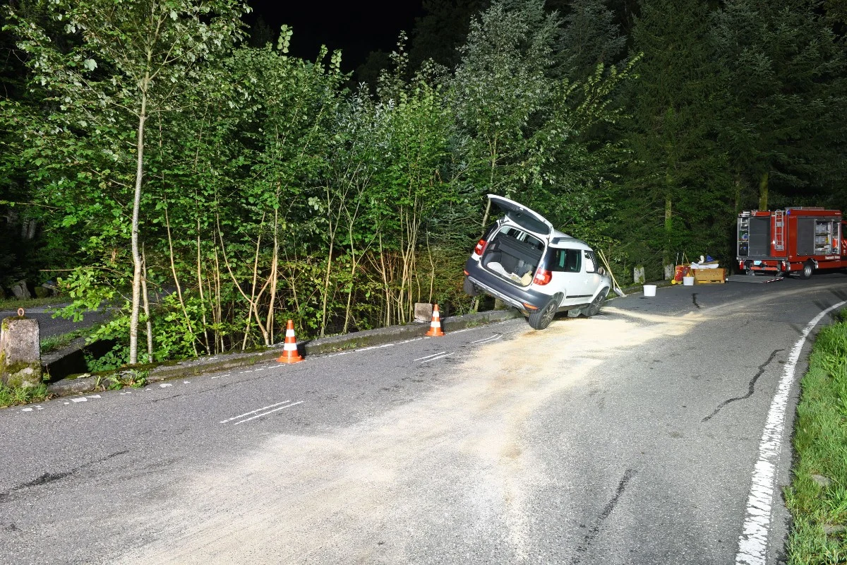 Kriens LU – Autofahrer nach Selbstunfall verletzt
