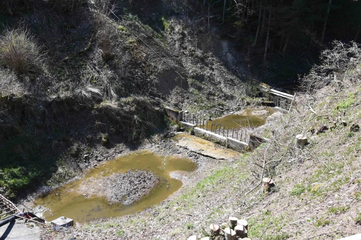  Mosnang SG - Gülle verunreinigte Bach