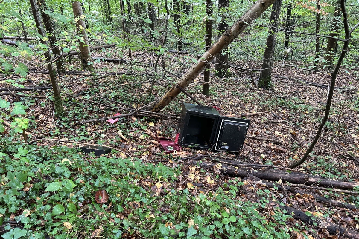 Rheinfelden AG – Spaziergängerin findet Tresor in Wald