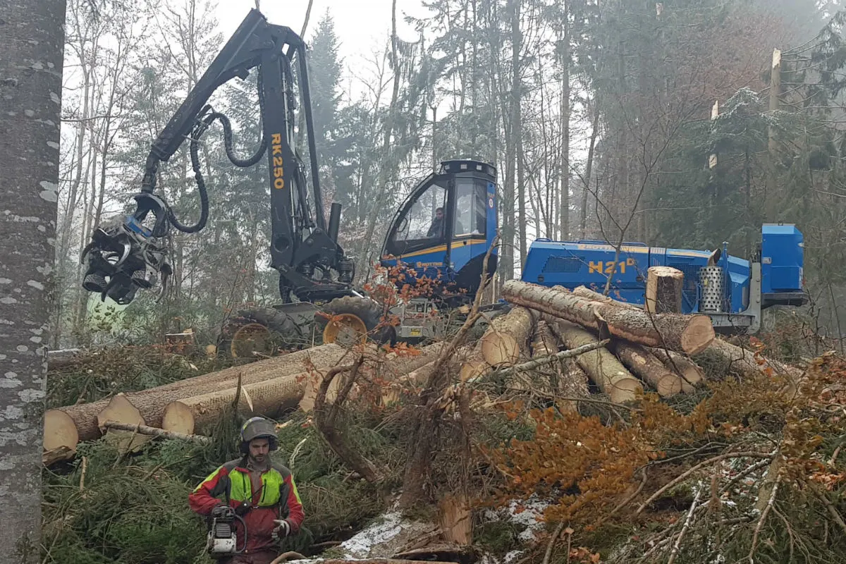 Aufräumarbeiten nach Sturm Vaia