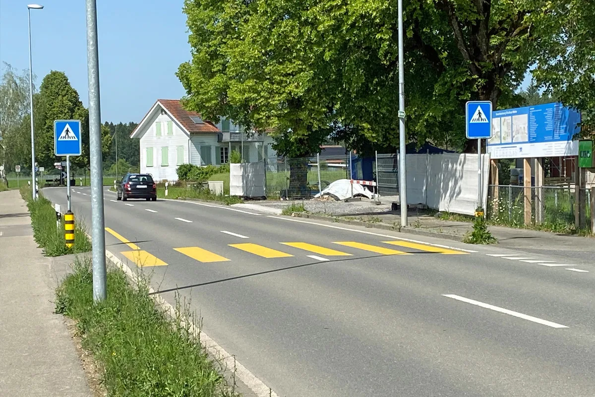 Ein schwarzes Auto fährt auf einer Straße neben einem gelben Zebrastreifen. Auf der rechten Seite stehen Verkehrsschilder und ein Baum.