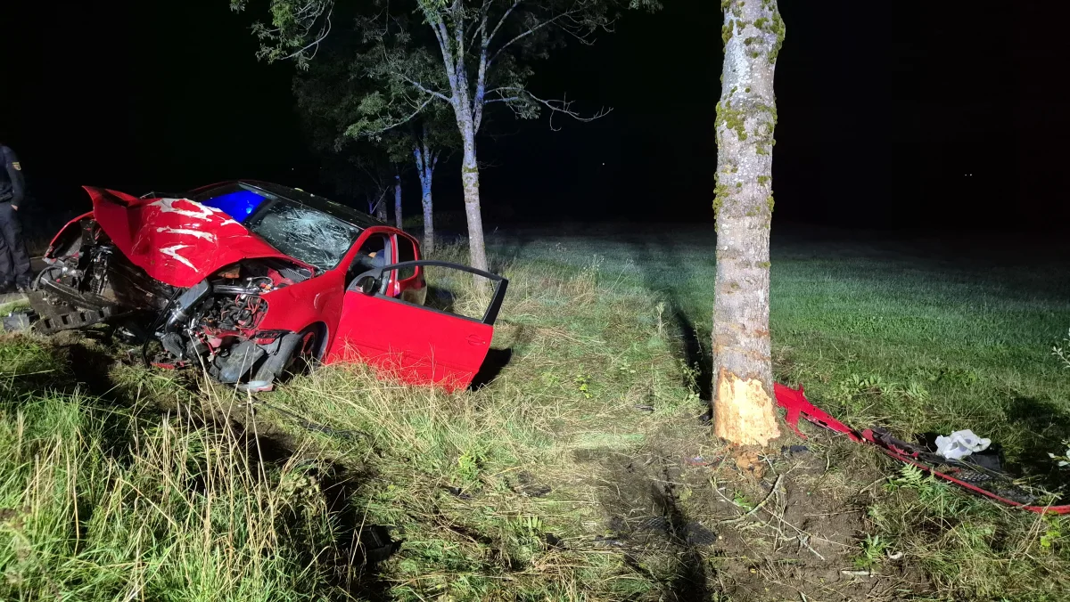 Ein rotes Auto mit stark beschädigter Front ist in der Dunkelheit frontal gegen einen Baum geprallt. Der Baum weist Rindenabplatzungen auf, die auf den Aufprall hindeuten.