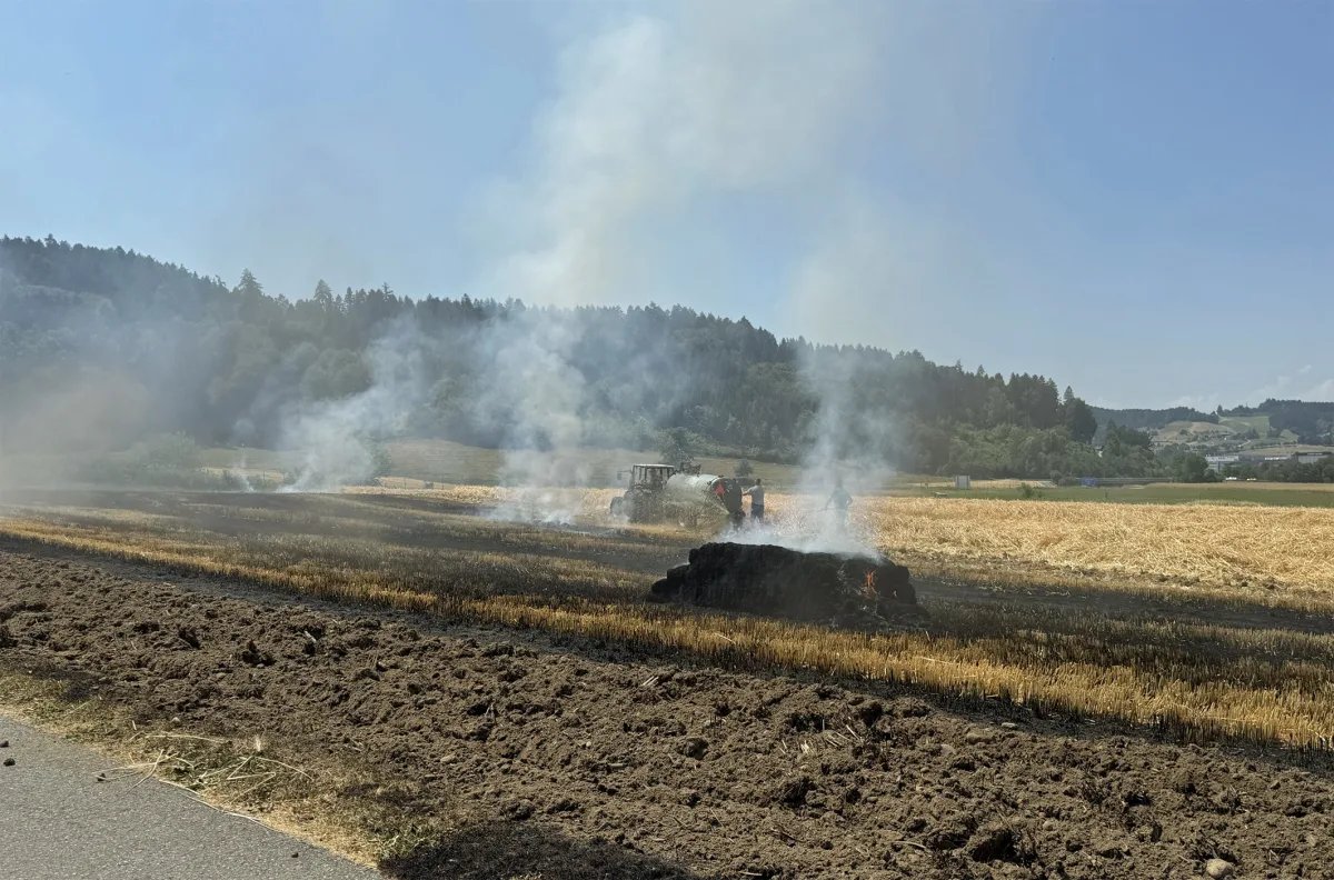 Ein Feldbrand mit Rauchsäulen auf einem Feld mit Wald im Hintergrund. Ein Traktor ist bei den Löscharbeiten zu sehen.