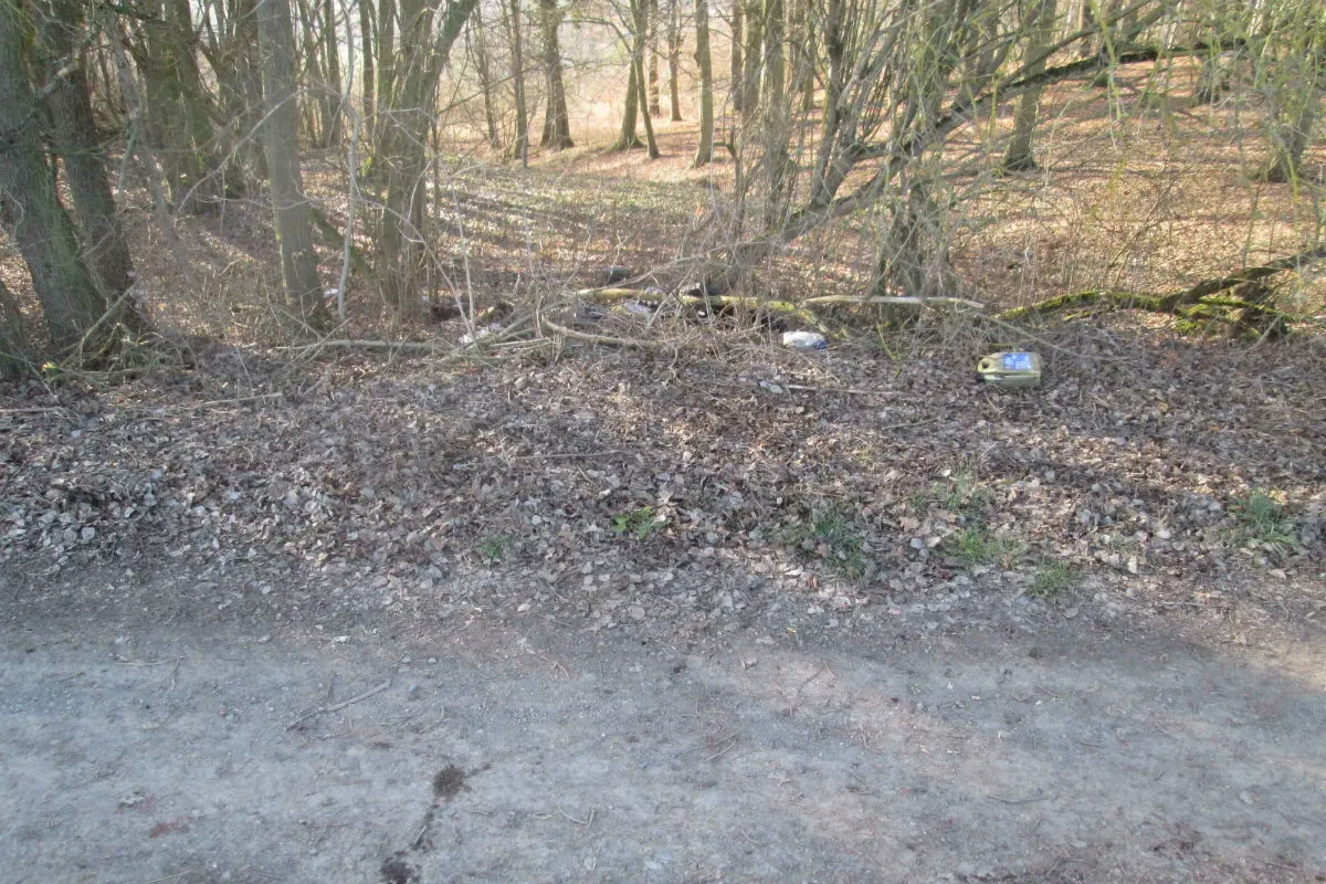 Fahrzeugteile und Motoröl illegal im Wald entsorgt - Zeugenaufruf
