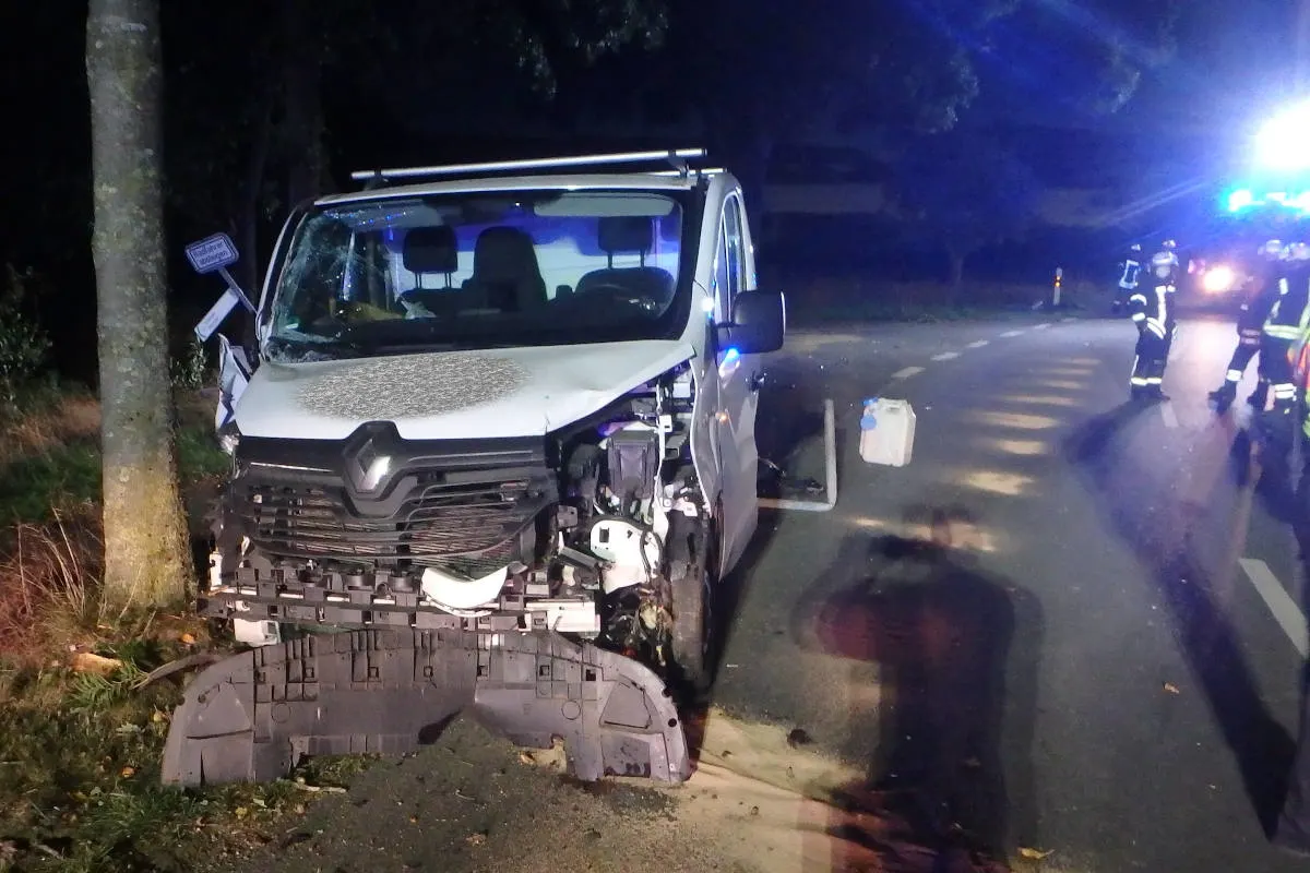 Wohnste – Transporter kracht gegen Baum - Fahrer schwer verletzt
