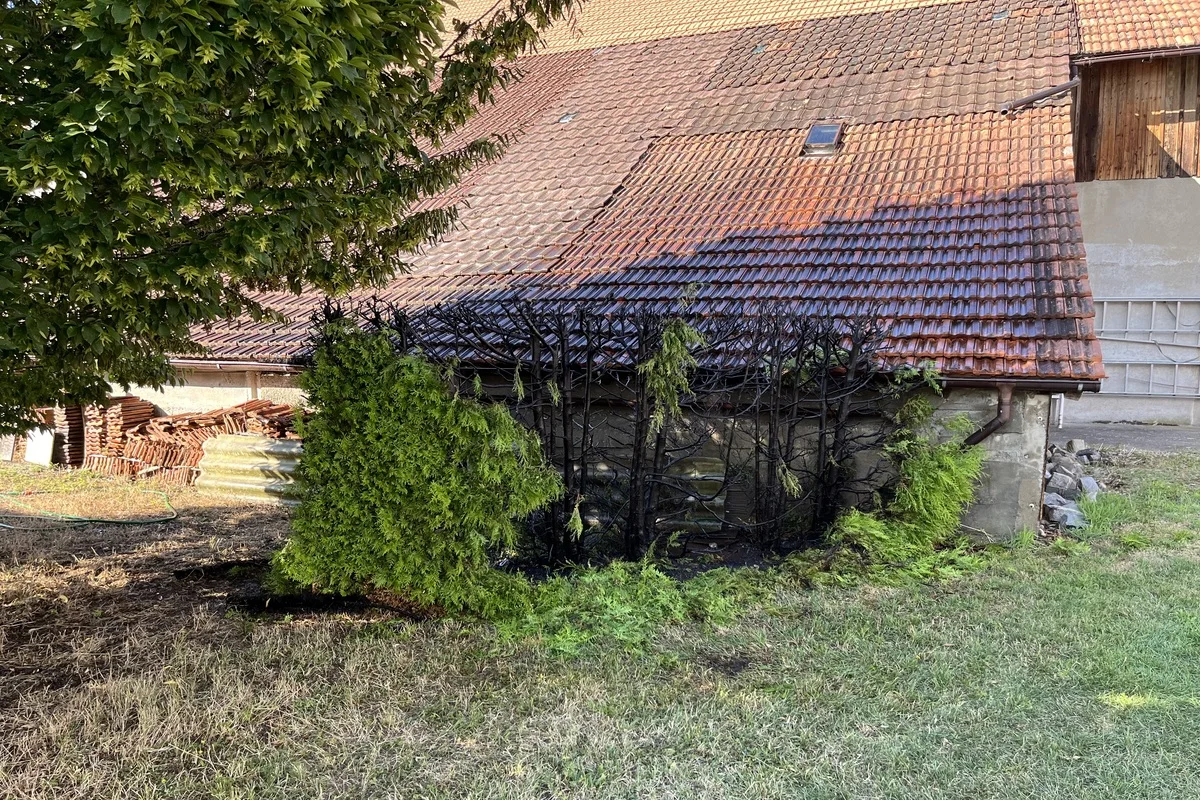 Kradolf TG - Heckenbrand mit Sachschaden