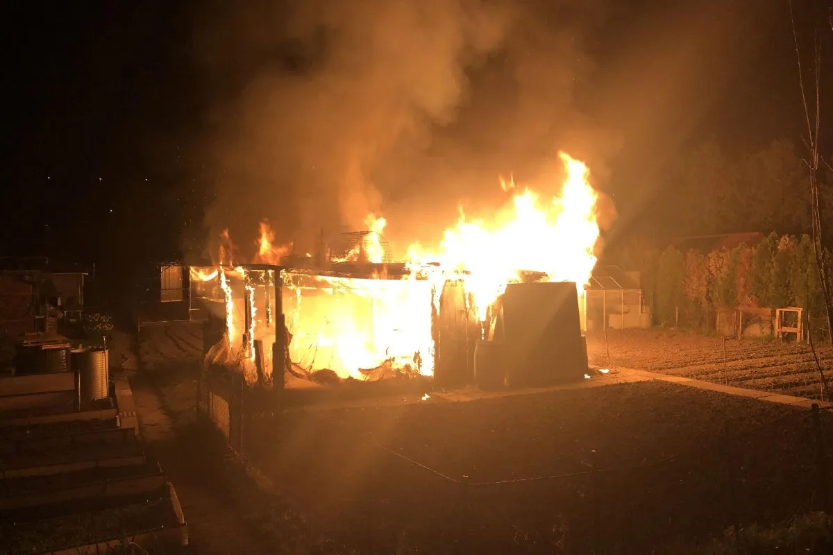 Reinach BL - Hühnerstall bei Brand vollständig zerstört – mehrere Hühner verendet