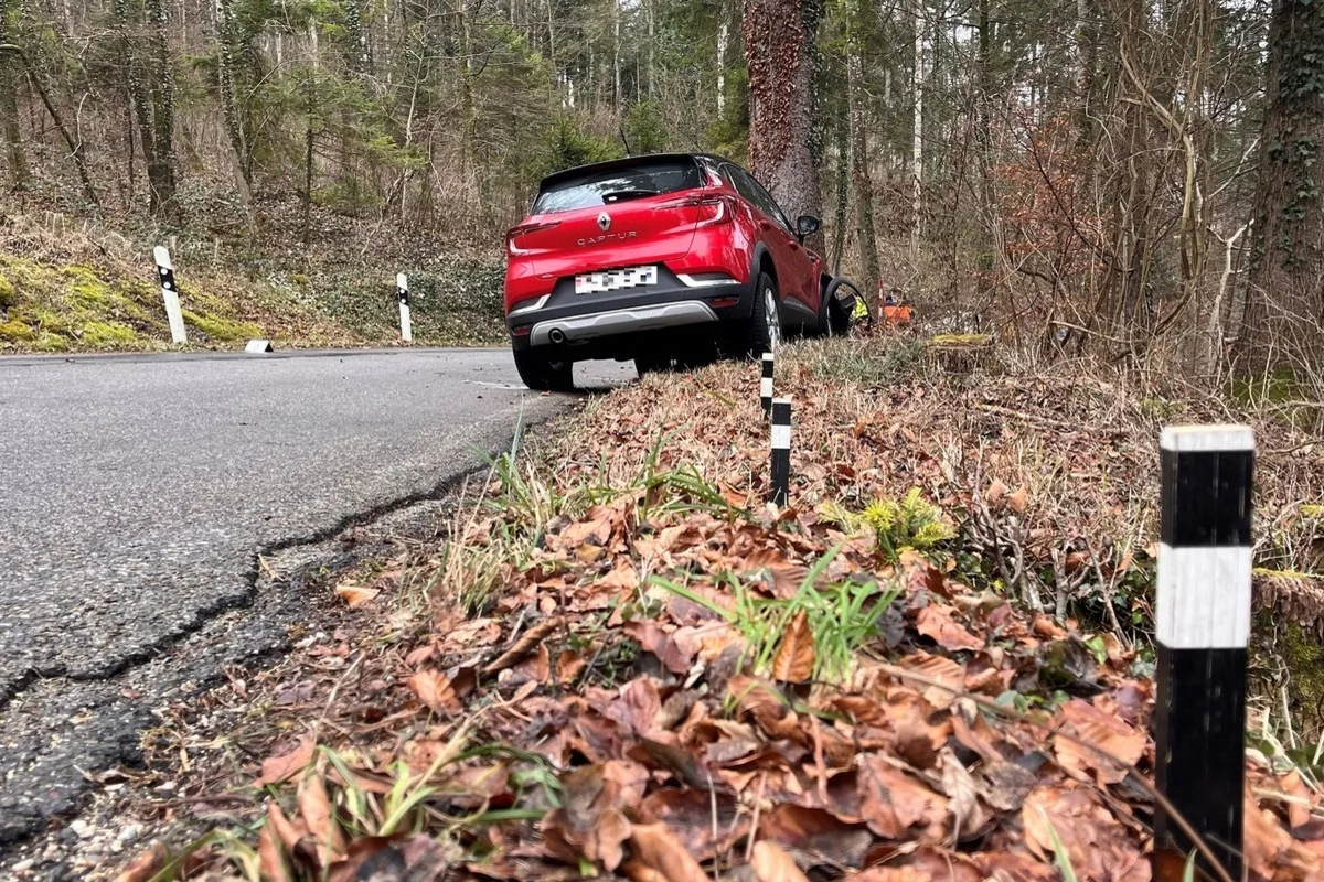 Sünikon ZH – Autofahrerin (78) prallt gegen Baum
