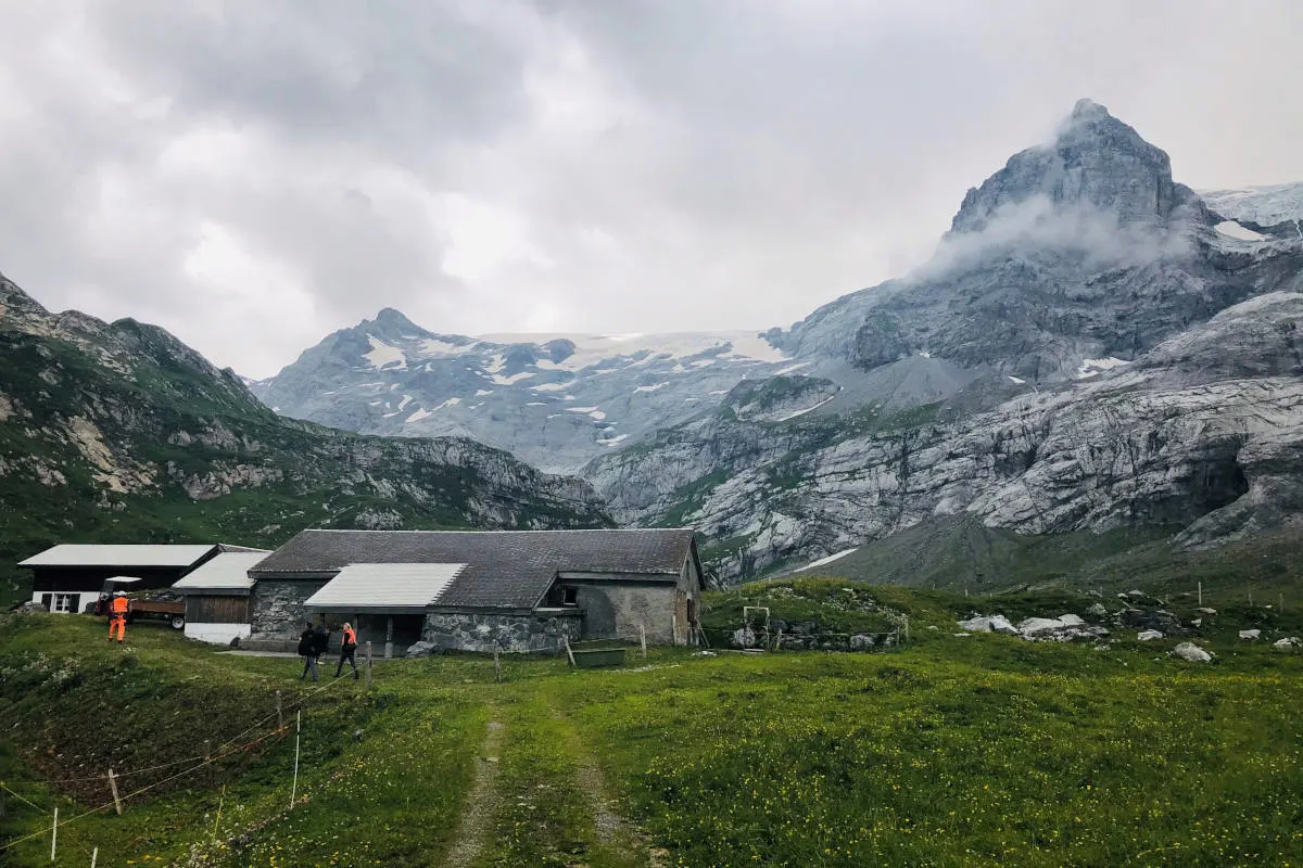 Linthal GL - Kopfüber in Futtertrog gestürzt