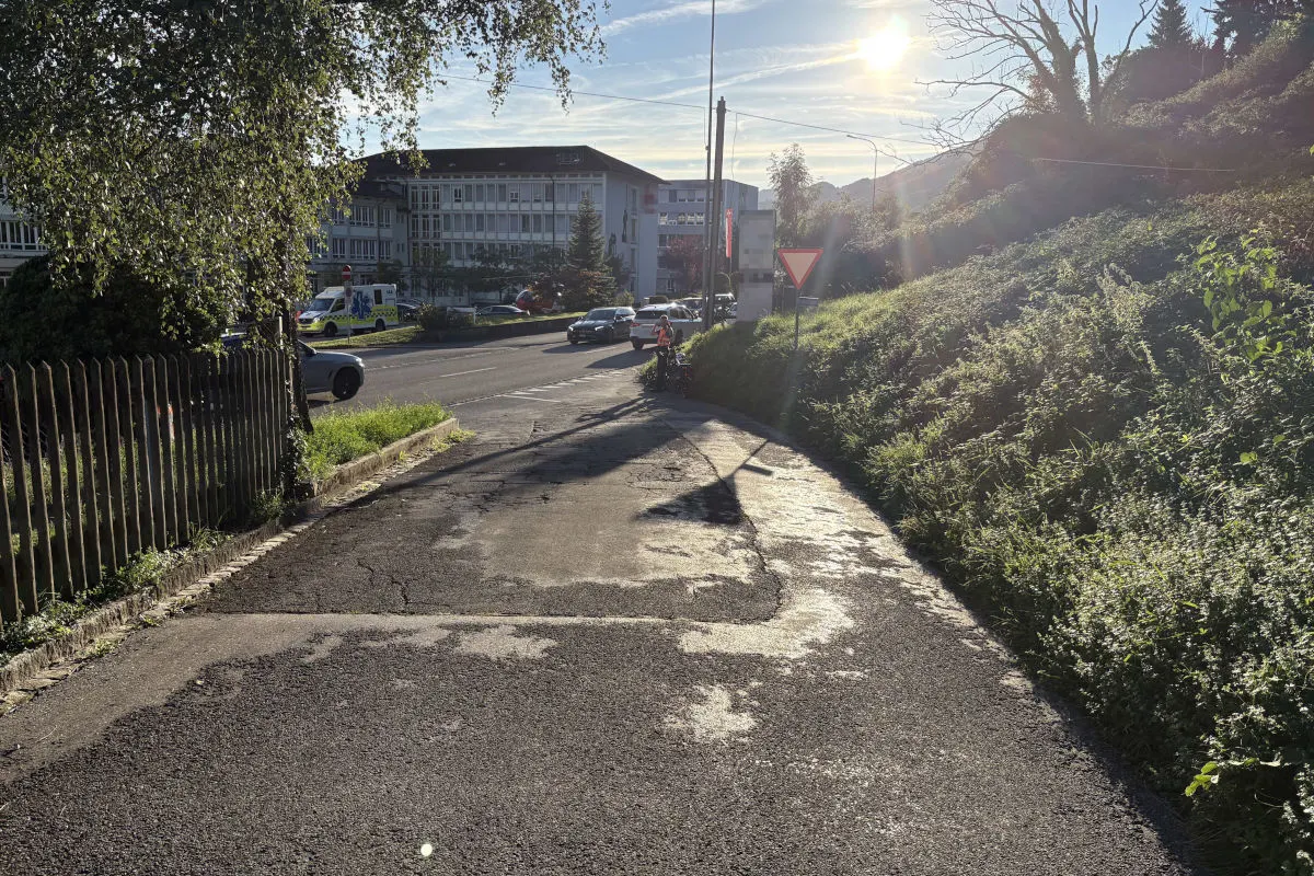 Eine belebte Straßenszene mit einem Rettungswagen und anderen Fahrzeugen im Sonnenschein. Im Vordergrund führt ein schattiger Weg entlang.