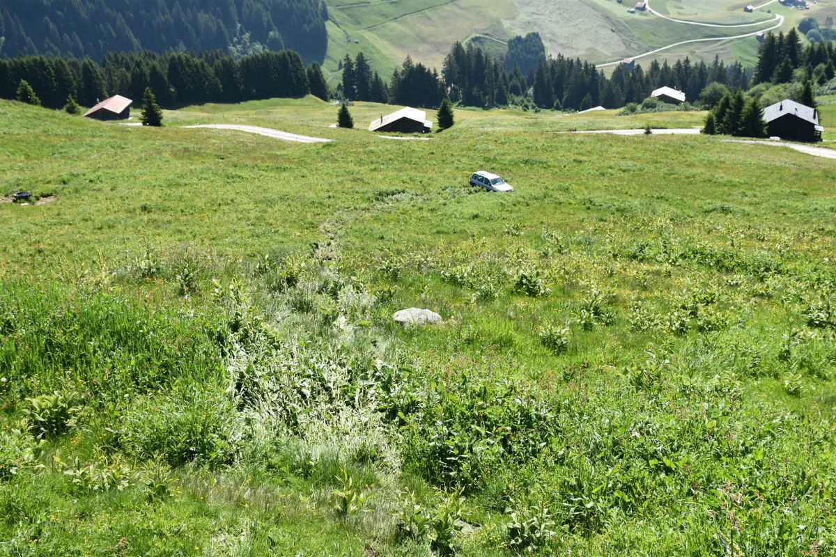Waltensburg/Vuorz GR - Lenker versucht Auto aufzuhalten