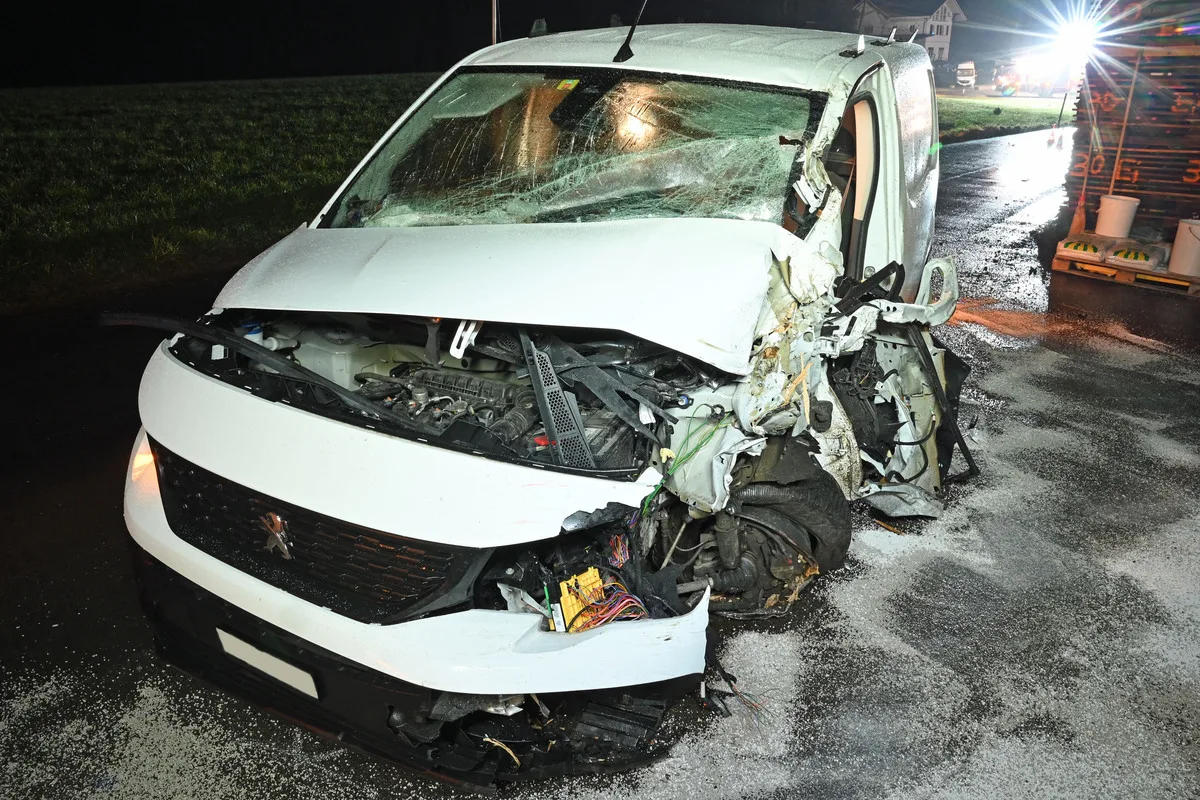 Rain LU – Lieferwagen kracht in Holzstapel – Fahrer alkoholisiert