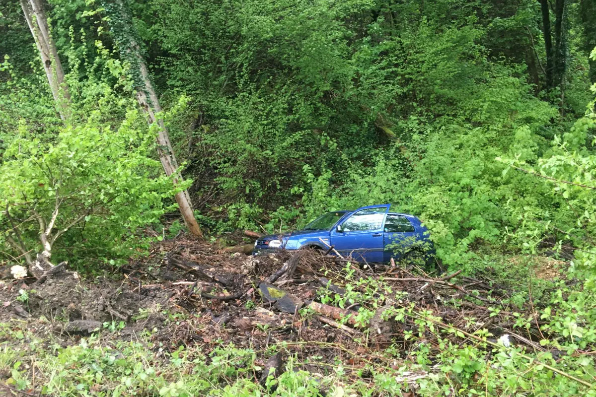 Grellingen BL - Reh ausgewichen und verunfallt