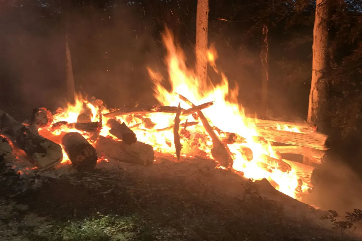 Reigoldswil BL - Stapel von Holzstämmen in Vollbrand - Zeugenaufruf