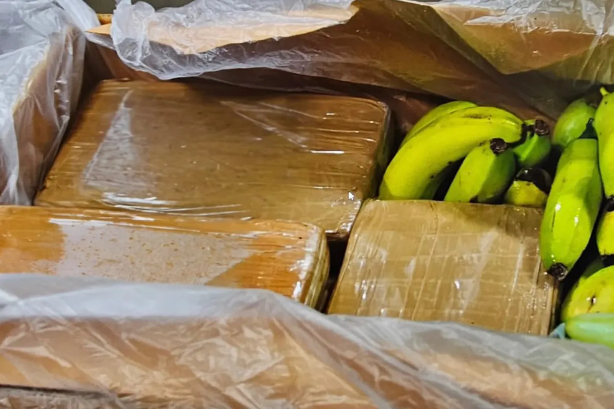 Lübeck SH – Über 500 Kilo Kokain in Bananenkisten aufgefunden