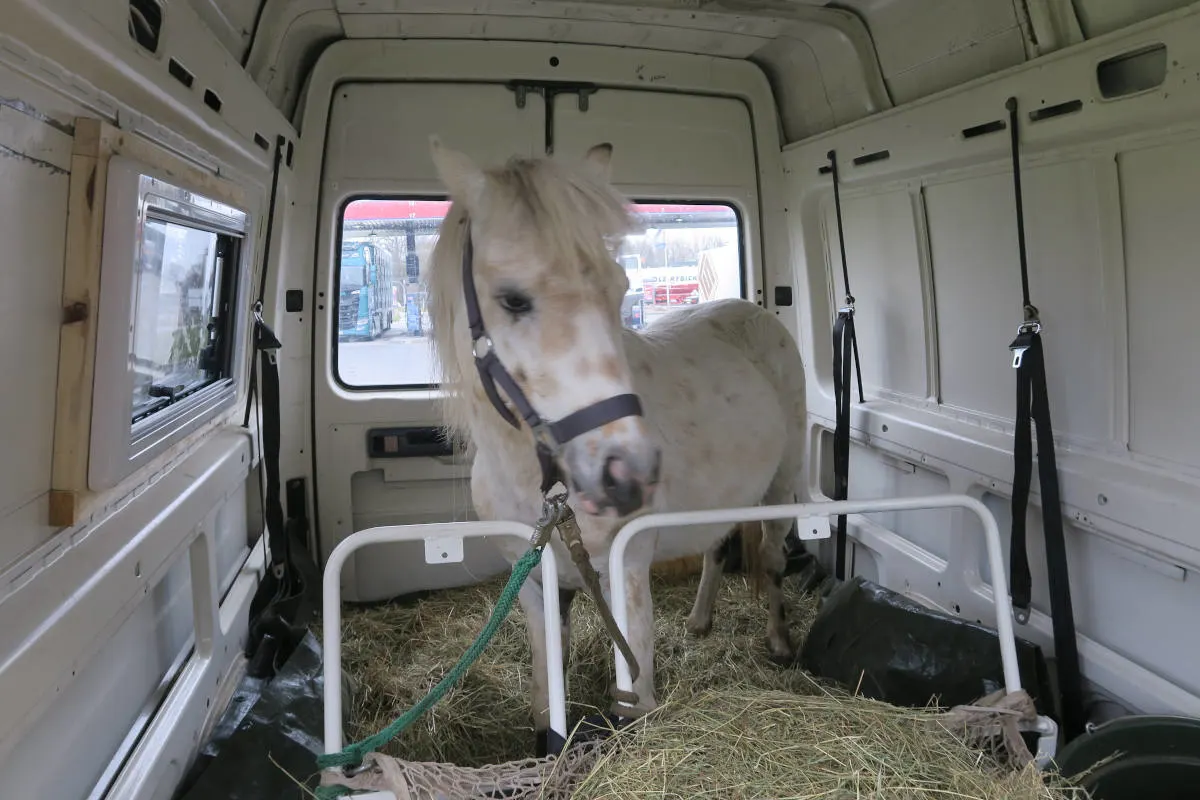 A1 Wildeshausen – Kuriose Kontrolle eines Kleintransporters