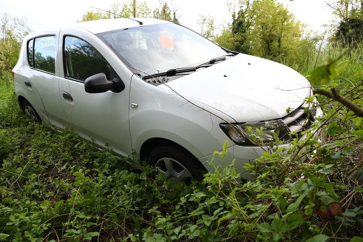 Muttenz BL - Dacia landet nach Selbstunfall im Gebüsch