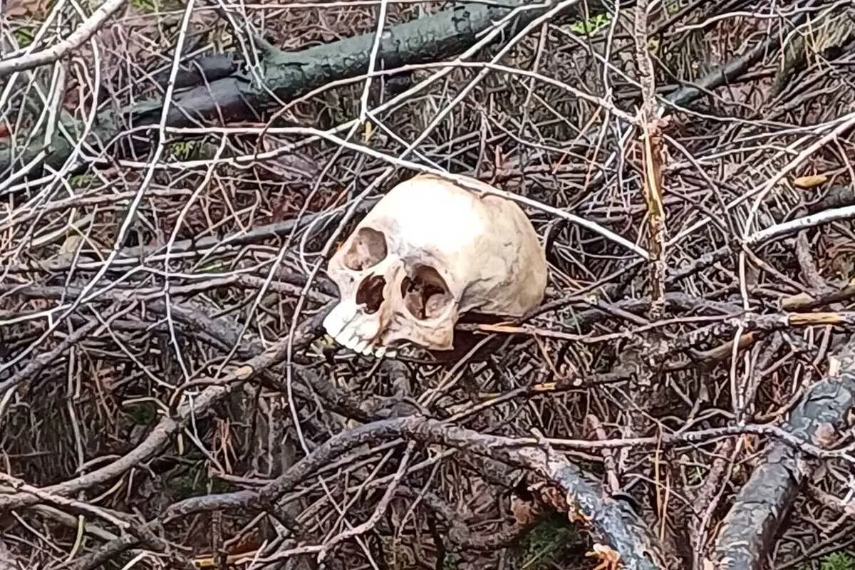 Tostedt/Welle NI - Menschlicher Schädel gefunden - Dringend Zeugen gesucht 
