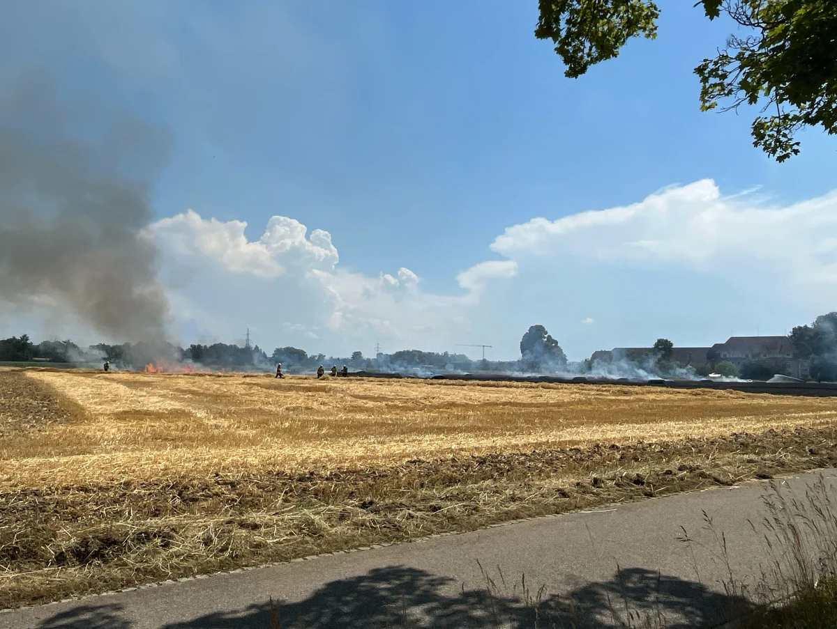 Ein Strohfeld steht in Flammen, Rauch steigt in den klaren Himmel. Im Hintergrund sind Gebäude und eine Baumreihe sichtbar.