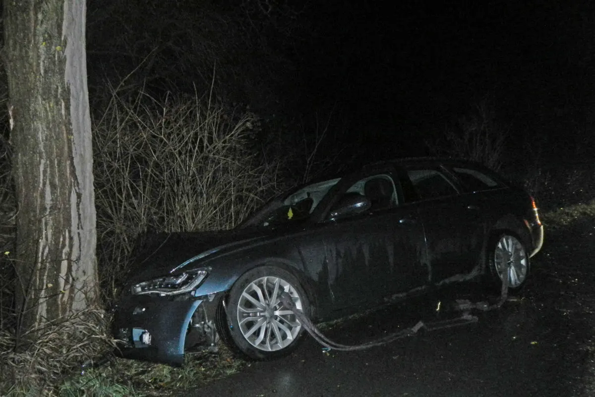 Islikon TG - In Baum geprallt