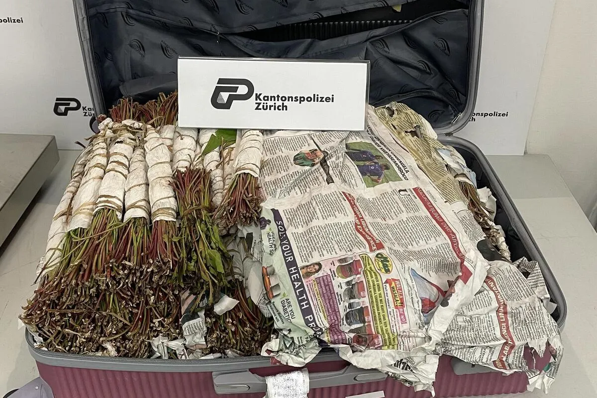 Flughafen Zürich - Frau mit 46 Kilogramm Khat erwischt