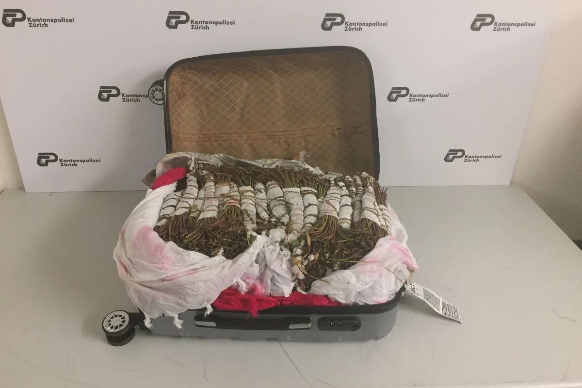 Flughafen ZH - Drogenkurier verhaftet