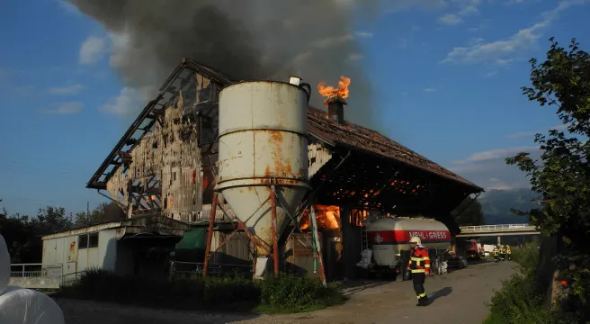 Brand zerstört Stallgebäude in Tuggen