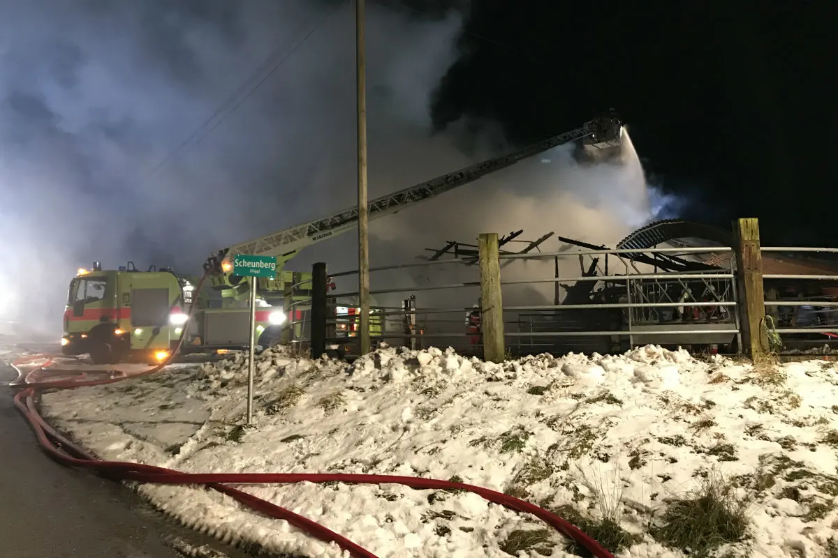Hofstetten ZH - Stallbrand fordert einen Verletzen