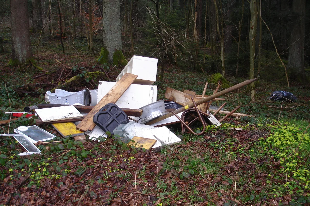 Winterthur: Rund 300 Kilogramm Sperrgut im Wald entsorgt 
