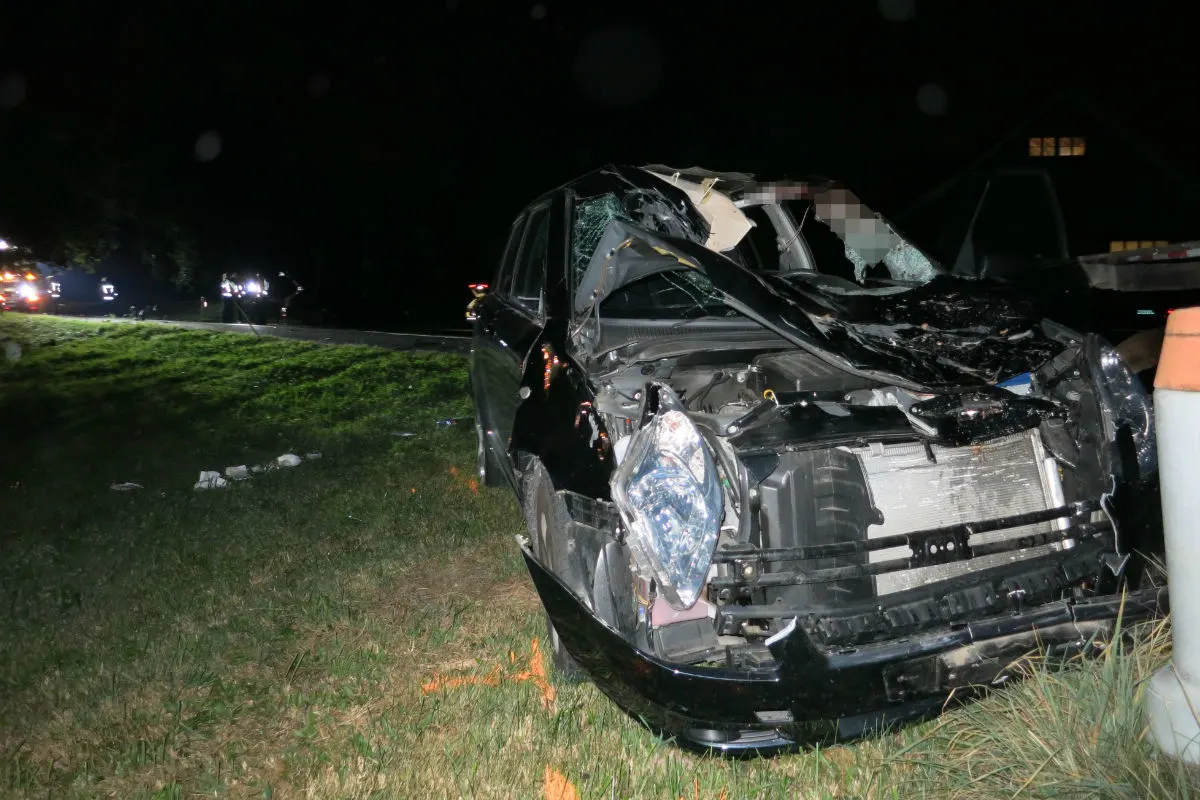 Waldkirch SG - Auto fährt in Pferde - Zeugenaufruf