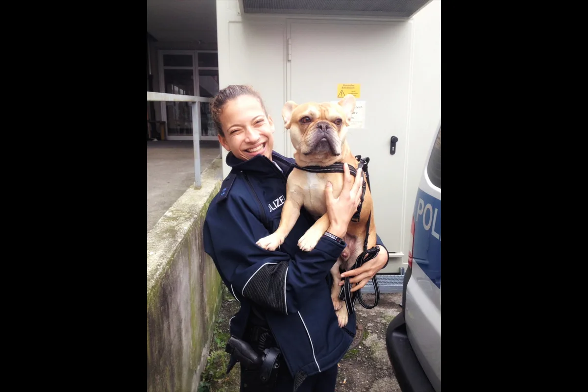 München BY: 28-Jährige gibt Hund bei Polizei ab, weil sie sich nicht mehr um ihn kümmern will
