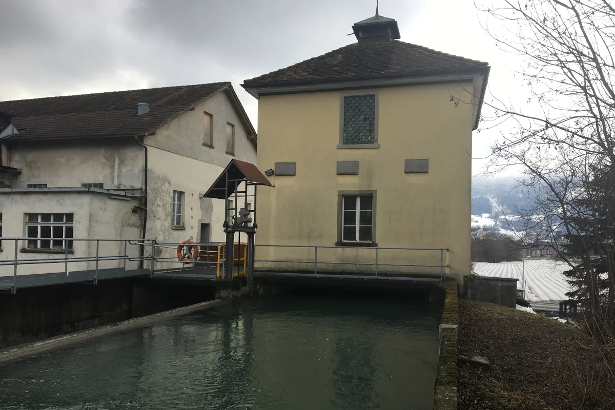 Landquart GR - Vier Hirsche aus Kanal gerettet - einer tot geborgen 