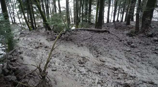Murgang im Gebiet Grossberg oberhalb von Lauerz