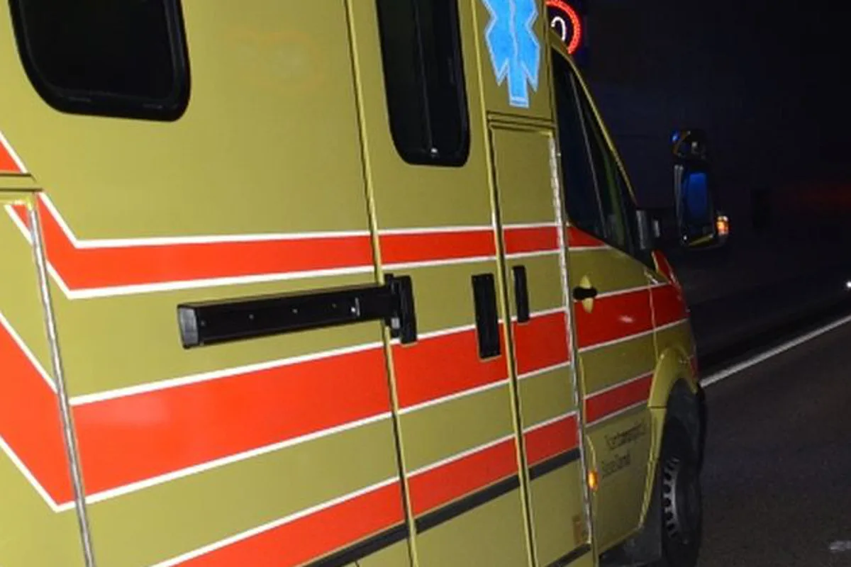 Allschwil BL - Zwei Verletzte bei Arbeitsunfall